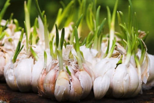 Нескладні рецепти для лікування нігтьового грибка