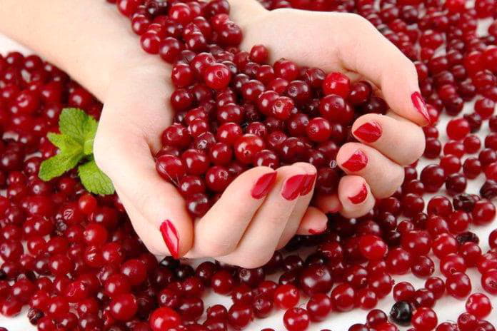 Народні засоби лікування нирок